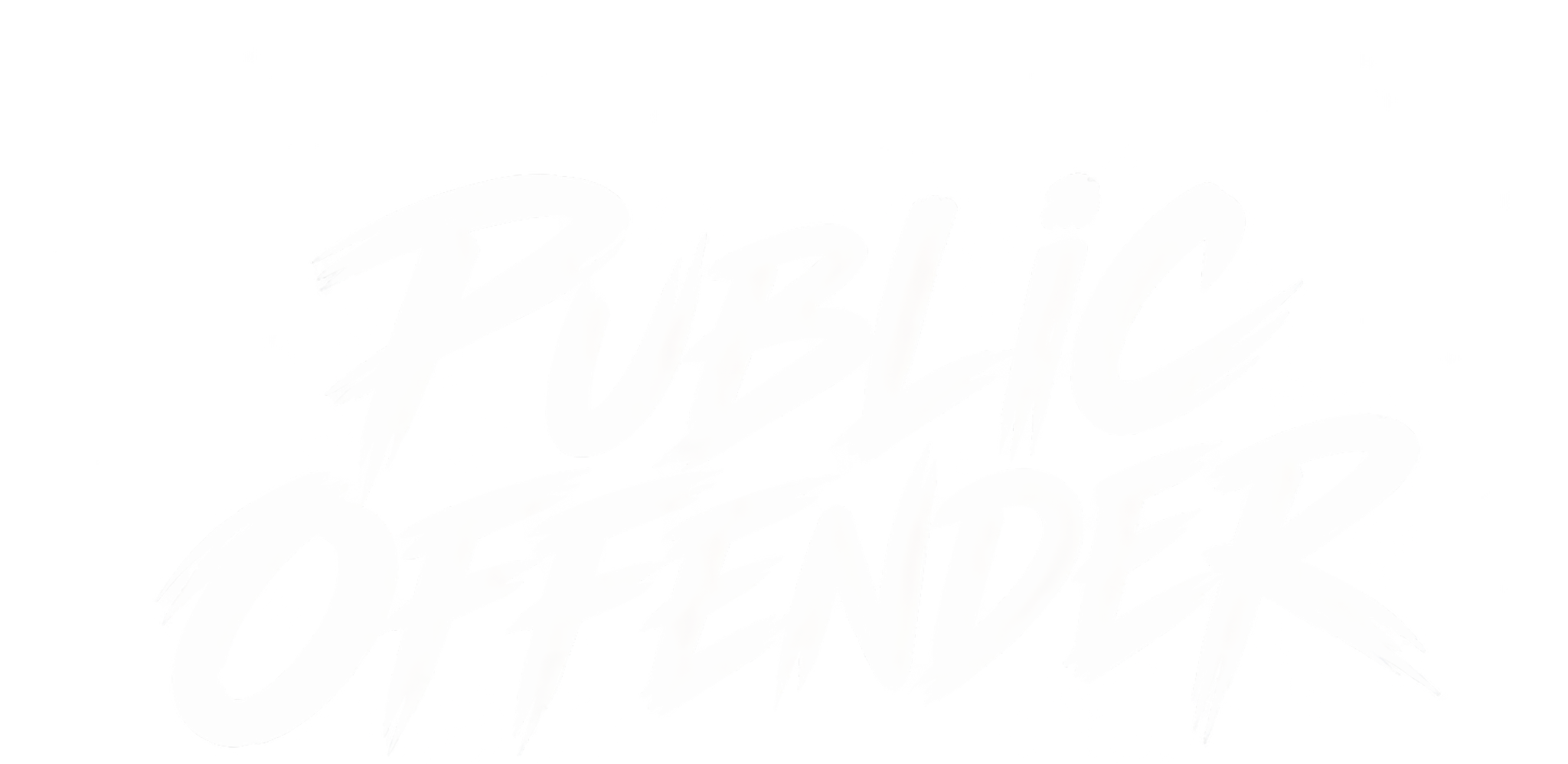 PUBLIC OFFENDER